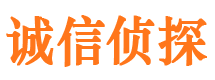 浔阳市婚外情调查